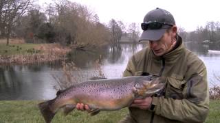 Stalking Big Brown Trout  Fly Fishing Lechlade [upl. by Meil465]