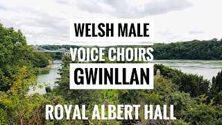 Best Welsh Anthem at the Royal Albert Hall  Gwinllan A Roddwyd I’m Gofal stirring with passion [upl. by Attikin577]