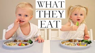 What Our VEGANPLANTBASED Children Eat PART 12 [upl. by Riggins230]