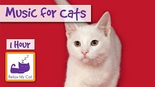 1 Hour of Music for Cats  Relax your Cats and Send them to Sleep CATS LOVE THIS MUSIC [upl. by Derriey]