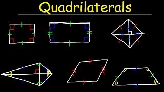 Quadrilaterals  Geometry [upl. by Wilhide134]