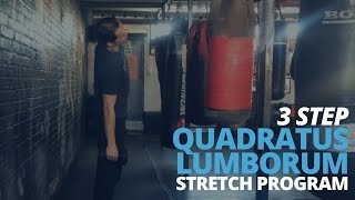 3 Step Quadratus Lumborum Stretch Program [upl. by Llednahc]