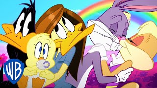 Looney Tunes  Couples Goals  WB Kids [upl. by Bander355]