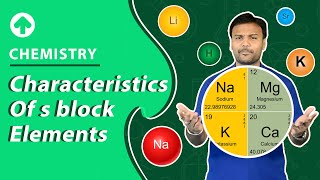 Characteristics of s block Elements  Chemistry [upl. by Ardnola]