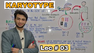 Karyotype What is karyotype importance of karyotype by Muneer Ahmad [upl. by Edlitam50]