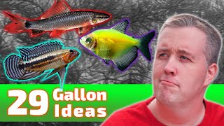 The BEST Ideas for Your 29 Gallon Fish Tank [upl. by Ytineres416]