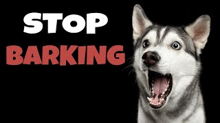 High Pitched Dog Whistle Sound To Stop Dogs Barking [upl. by Selima]