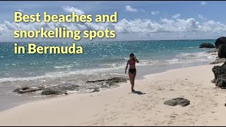 Bermuda Island Tour Best beaches and snorkelling spots [upl. by Ragouzis]