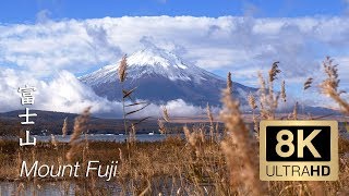 8K  Mount Fuji  Yamanashi  富士山 [upl. by Fraya]