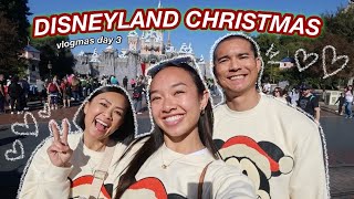 DISNEYLAND CHRISTMAS  Vlogmas Day 3 [upl. by Dhiman754]