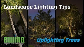 Landscape Lighting Tips  Uplighting Trees [upl. by Leamse]