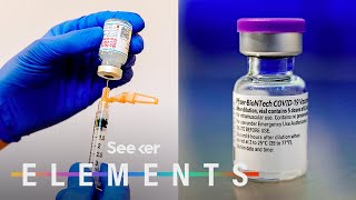 What’s In the Pfizer amp Moderna COVID Vaccines [upl. by Decamp]