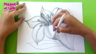 Dibujos A Lápiz Como Dibujar Una Flor  How To Draw A Flower [upl. by Ennahtebazile894]