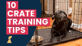 Crate Training Tips  10 Hacks To Help Your New Puppy Love The Crate [upl. by Nael]