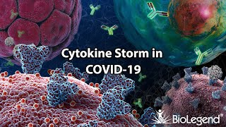 Cytokine Storm in COVID19 [upl. by Ahsiekyt]