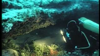 The Undersea World of Jacques Cousteau  The Sleeping Sharks of Yucatan [upl. by Finley]