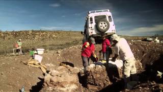 Historias de Ciencia Capítulo 3 Paleontología [upl. by Deyes]