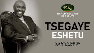 Tsegaye Eshetu  Alasgedidishim  አላስገድድሽም  Ethiopian Music [upl. by Rem518]