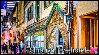 【4K】Tokyos LOVE hotel Tour  Shibuya and Its love hotels [upl. by Farlay]