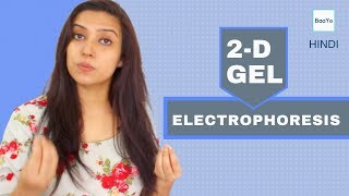 Two Dimensional 2D GEL Electrophoresis  Principle  Hindi [upl. by Ciapas]