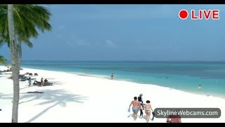 Amazing live webcam from the Maldives [upl. by Swithin]