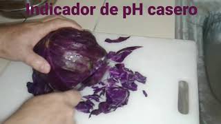 Indicador de pH caseroRepollo morado [upl. by Jules]