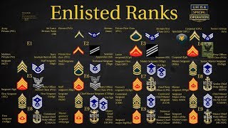 US Military All Branches ENLISTED Ranks Explained [upl. by Yadrahc]