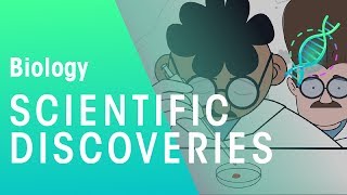 Scientific Discoveries  Careers  Biology  FuseSchool [upl. by Terraj841]