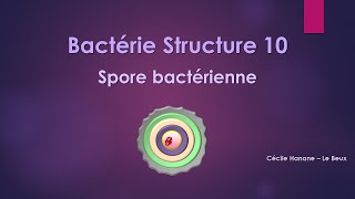 Bactérie Structure 10 SPORE BACTERIENNE [upl. by Richers15]