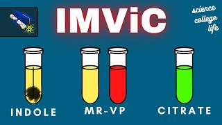 IMViC Test  Indole MRVP Citrate  Microbiology Lab [upl. by Kylander]