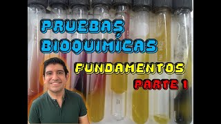 Pruebas bioquímicas Parte 1 [upl. by Ayiak]