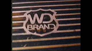 WinnDixie Grocery Store WD Brand Steaks Commercial 1997 [upl. by Adnwahsor839]