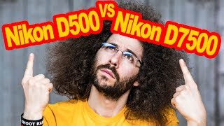 Nikon D500 VS Nikon D7500 Comparison Which To Buy [upl. by Horwath565]