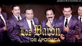 LOS BARON DE APODACA cumbias [upl. by Yreved604]