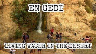 En Gedi Israel Living Water In the Desert Davids Hideout Masada Dead Sea Oasis Jer 213 [upl. by Gunar]