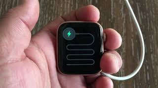 How to Fix Apple Watch stuck on Red Snake or Green Snake  Apple Watch Not Charging Solved [upl. by Matazzoni396]