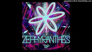 TAG  ZEPHYRANTHES [upl. by Evad]