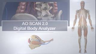 AO Scan Digital Body Analyzer  Practitioner Demonstration [upl. by Hamforrd]