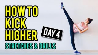 Taekwondo Stretching amp Drills to Kick Higher Day 4 [upl. by Eetnwahs]