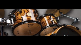 ddrum Dios Zebrawood Kit Metal Demo [upl. by Marino]