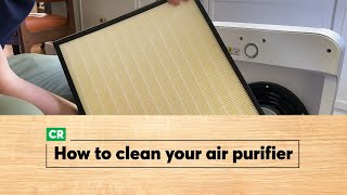 How to Clean an Air Purifier  Consumer Reports [upl. by Aletha]