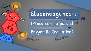 Gluconeogenesis [upl. by Noirred]