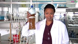 Producing Environmentally Friendly Fertilizer from Human Urine [upl. by Assirram]