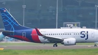 Sriwijaya Air Flight 182  Crash Animation [upl. by Kehr]