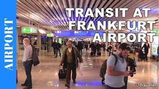 TRANSIT WALK AT FRANKFURT Airport FRA Terminal 1  Connection Flight Transfer Arriving amp Departing [upl. by Ddart755]