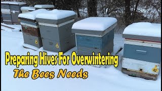 Preparing Bee Hives For Winter  The Bees Needs [upl. by Isma]