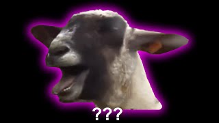 15 Screaming Goat Sound Variations in 30 Seconds [upl. by Beitz]