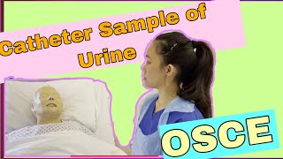 Catheter Sample of Urine CSU OSCE 2021 [upl. by Atiuqrahc]