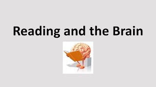 READING AND THE BRAIN THE 3 CUEING SYSTEMS [upl. by Latouche]