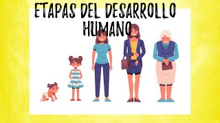 Etapas del desarrollo humano  video educativo [upl. by Annoya]